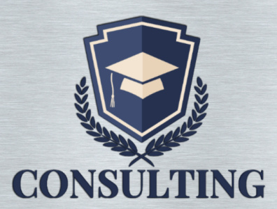 CONSULTING