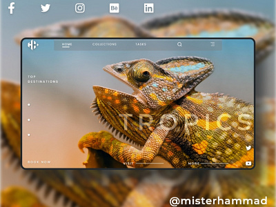 Tropical website UI design app ui branding design illustration misterhammad typography ui design ui designer uiux uiuxdesign