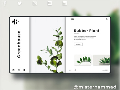 Green House Website UI design app ui design illustration misterhammad typography ui design ui designer uiux uiuxdesign ux