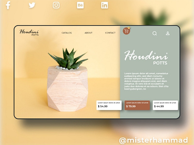 Houdini Potts Website UI design app ui branding design illustration misterhammad typography ui design ui designer uiux uiuxdesign ux