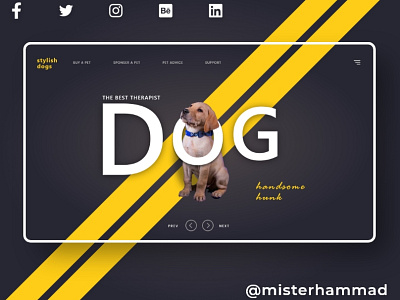 Stylish Dog website UI design misterhammad typography ui design ui designer uiux uiuxdesign website design website ui