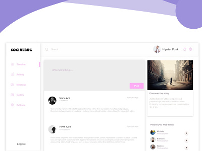 Socialbug Web App Ui Design