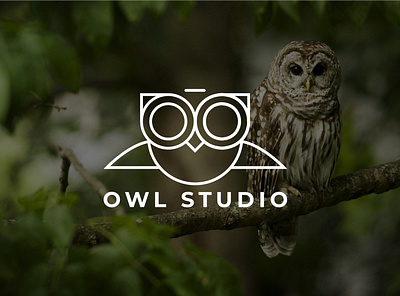 Owl Studio art branding design flat graphic design icon illustration logo minimal vector