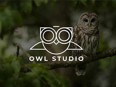 Owl Studio