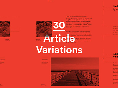 Styleguide - Article variations identity links module modules photography styleguide type setting typography