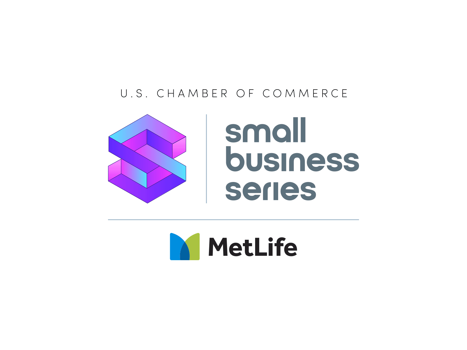 Small Business Series | Logo + Branding brand identity branding branding design design illustrator logo minimal typography vector