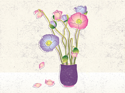 Contour poppies art concept creative design design flowers graphic design illustration illustration art pink poppies purple