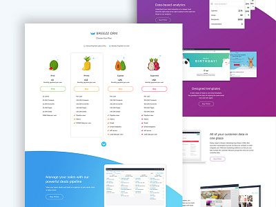 Pricing Pages pricing ui fruit stars graphics web ux