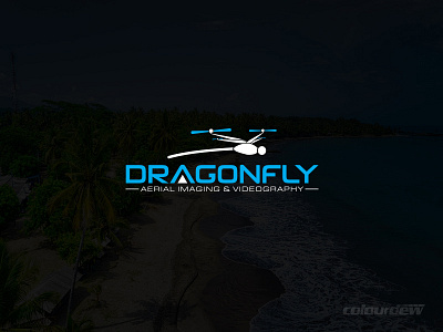 Dragonfly Photo & Videography Logo