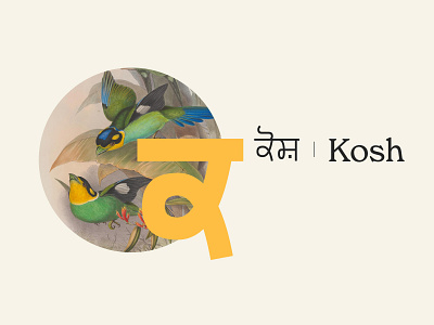 Kosh | ਕੋਸ਼ – Brand Identity branding design healthcare inclusive design logo punjabi typography ui
