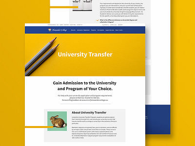 College Website Rebranding canada clean education flat grid ios minimal mobile pencil type ui ux
