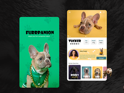 Pet Adoption Mobile App UI