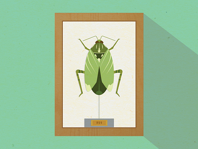 Bug bug flat frame