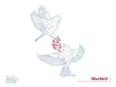 Bluebird bird blue creative design illustration line meaning red symbolism