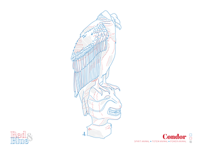 Condor bird blue creative illustration illustration design line meaning red symbolism
