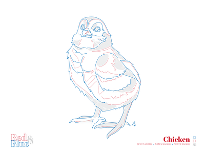 Chicken bird blue creative illustration illustration design line meaning red symbolism