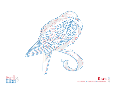 Dove bird blue creative illustration illustration design line meaning red symbolism