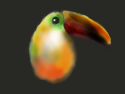 Toucan