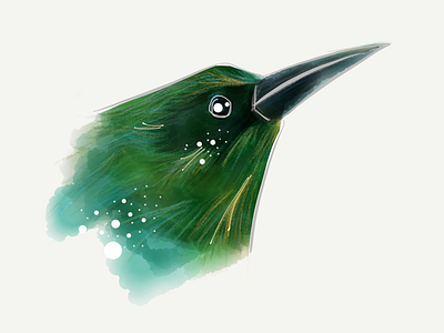 Torogoz bird illustration paper torogoz
