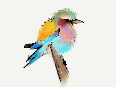Cotton Bird bird illustration