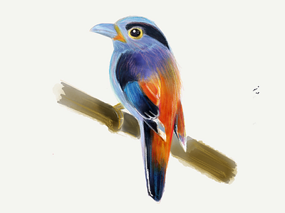 Illus Bird Crayon bird crayon illustration