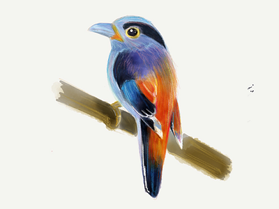 Illus Bird Crayon