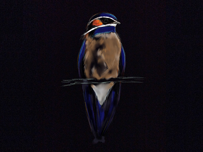 Blue Bird bird illustration paper