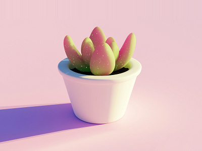 3D succulent plant 3d blender blender3d design illustration minimal