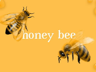 Honey Bee II