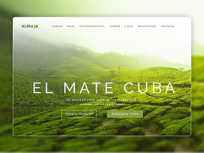 ElMate Promo Page Сoncept breeze design desktop green landing leaf main page page promo tea ui uiux web website website design