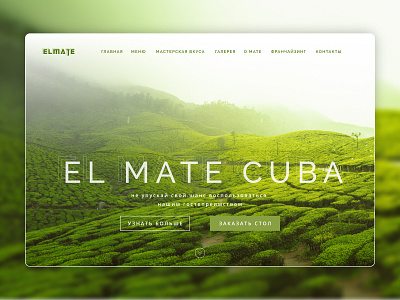 ElMate Promo Page Сoncept