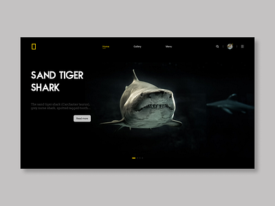 National Geographic Landing Page Design design designer trend 2020 trendy ui ui ux uidesign uiux ux uxdesign