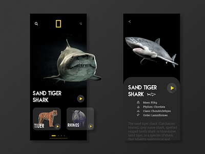 National Geographic App design designer trend 2020 trendy ui ui ux uidesign uiux ux uxdesign