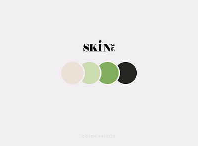 Colour palette branding clean design flat logo minimal typography vector