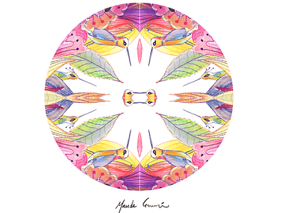 Kaleidoscope birds colors illustration illustratrice photoshop watercolor