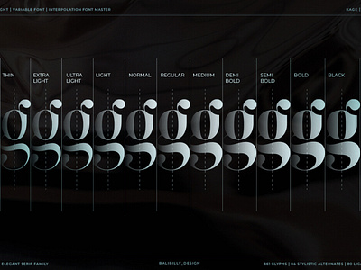 Serif Family - Kage 11 weigh