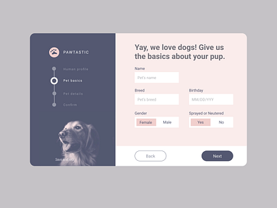 Sign up dailyui 001 design ui