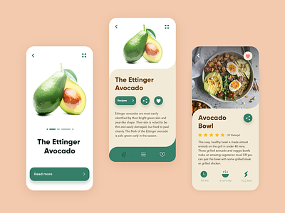 Avocadoo adobe xd app design avocado avocado app avocado types clean design concept design app design fruit recipe ui app ui app design user interface design