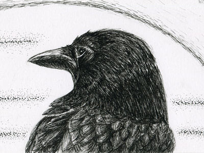 Overwatch Raven animal bird bird illustration birds design illustration line lineart linework pen pen and ink pencil raven ravens sketch space stippling style traditional wisdom