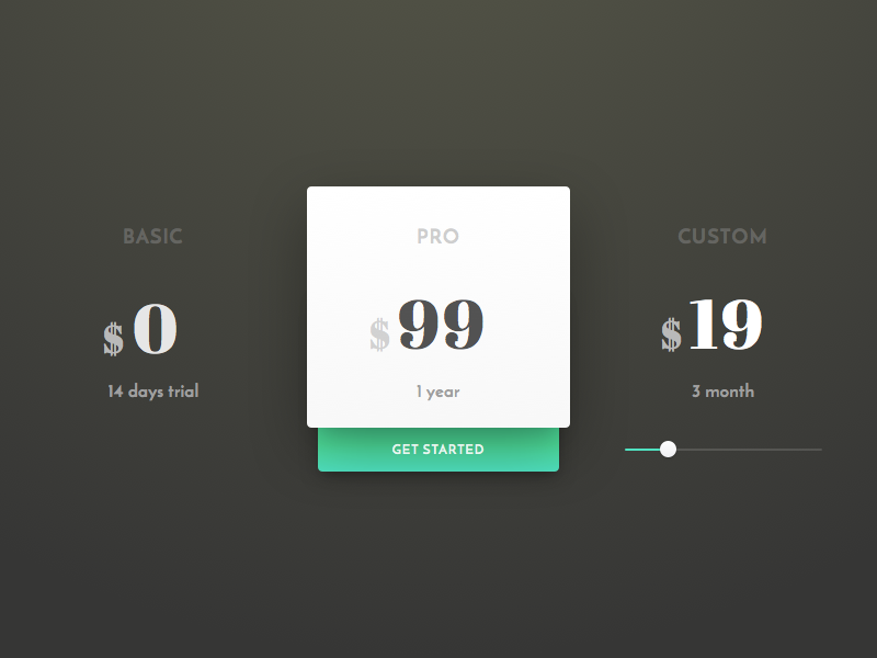 Pricing page example #82: 030. Pricing