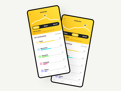 Money Tracking App Design Concept