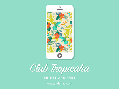 Club TropicAHA animals color colour cute flora hummingbird illustration nature paradise pattern textiles tropical