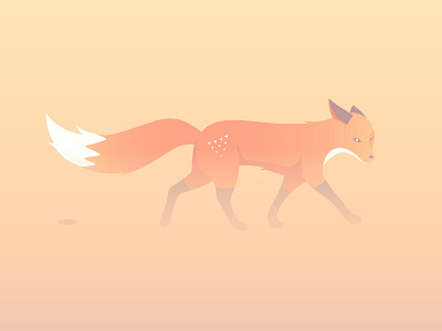 Quinn the Fox animals character design color cute desert fox gradient illustration nature sand story wind