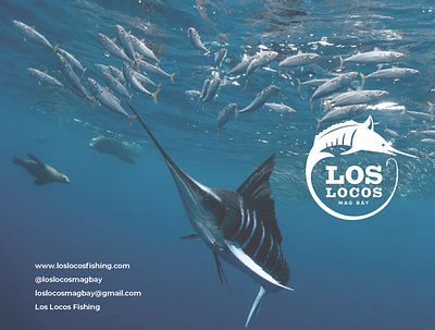 Los Locos Tri Fold branding design print design