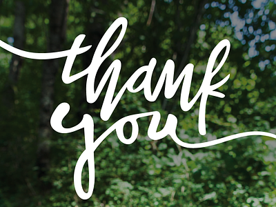 Thank You hand lettering thank you type vector