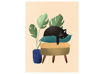 Sleeping Cat Illustration digitalart illustration procreate