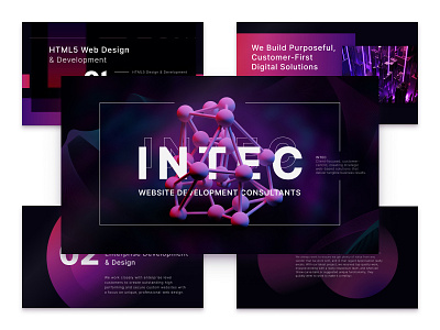 INTEC website development consultant