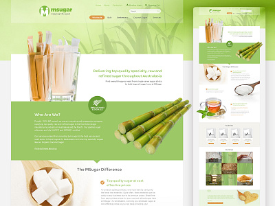 Web Design / MSugar design ecommerce food graphic design lightweight refreshing sugar sweet web design website website design