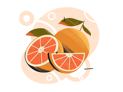 Oranges art illustration fruit illustration sketch sketchbook