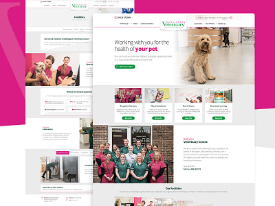 Veterinary Website Redesign clean redesign responsive veterinary webdesign website